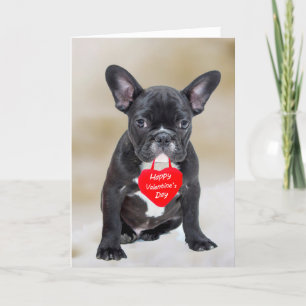 Carte de voeux Heureuse Sainte-Valentin Bulldog
