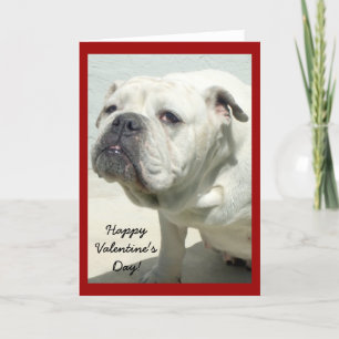 Carte de voeux Heureuse Sainte-Valentin bulldog