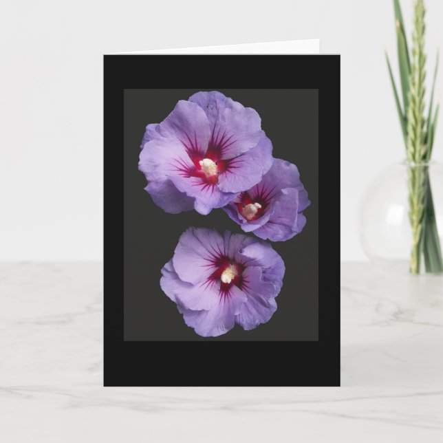 Carte de voeux Hibiscus bleu (Devant)