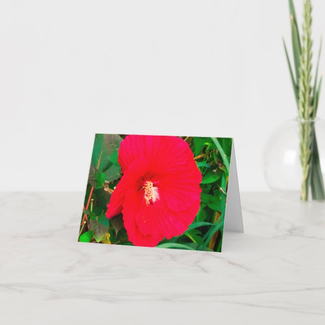Carte de vœux Hibiscus rouge (Devant)