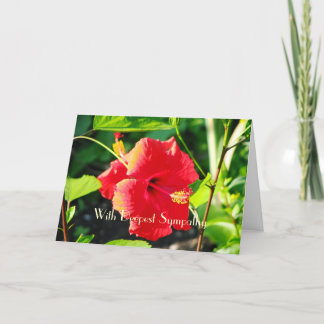 Carte de voeux Hibiscus Sympathy