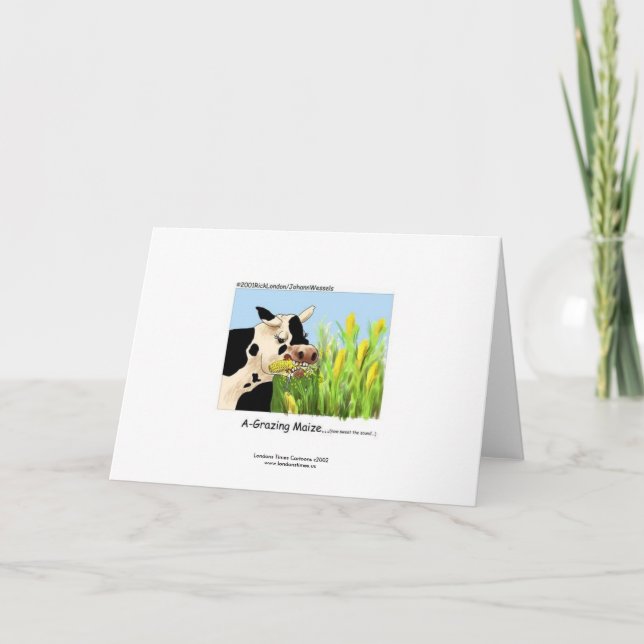 Carte de vœux hilarante de vache (Devant)