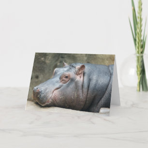 Carte de voeux Hippopotamus