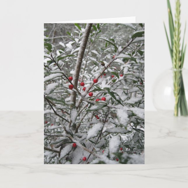 Carte de vœux "Holly dans la neige". (Devant)