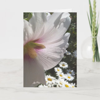 Carte de voeux Hollyhocks et Daisies