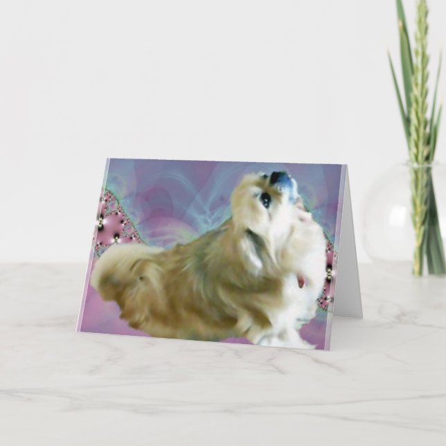 Carte de voeux Hollywobble (Devant)