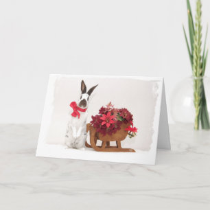 Carte de vœux Hoppy Holidays