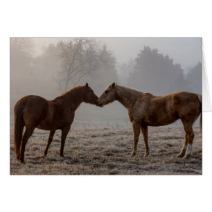 Carte de voeux Horse Love