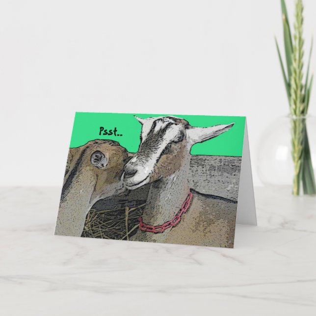 Carte de voeux Humour (Devant)