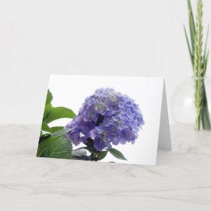 Carte de voeux Hydrangea Bush