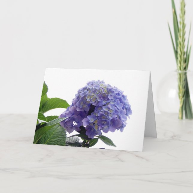 Carte de voeux Hydrangea Bush (Devant)