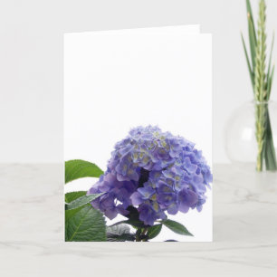 Carte de voeux Hydrangea Bush
