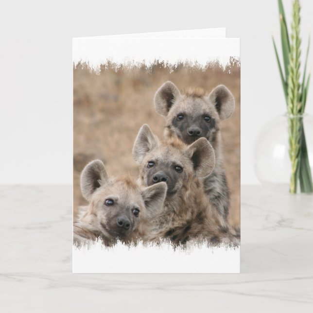Carte de voeux Hyenas (Devant)
