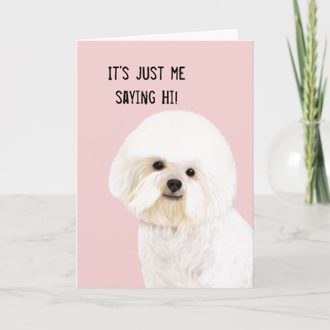 Carte de voeux illustrée par Frise de Bichon (Devant)