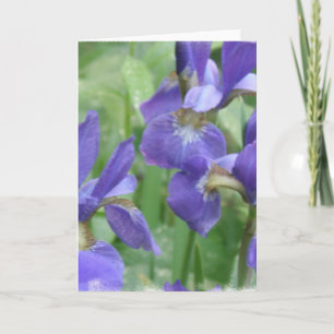 Carte de voeux Iris Bulbs