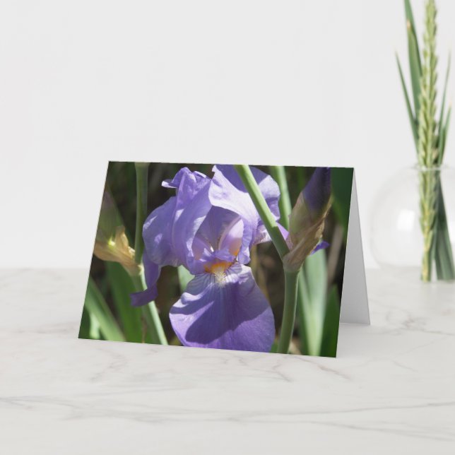 Carte de voeux Iris Garden (Devant)