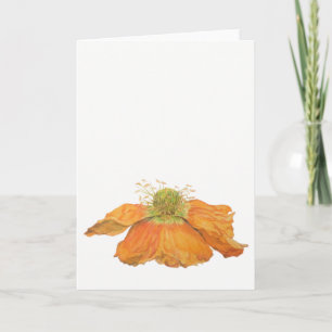 Carte de voeux islandaise orange de pavot 5" x 7"