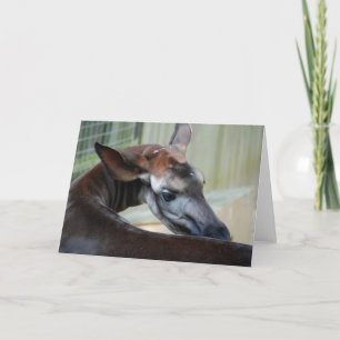 Carte de voeux "Itchy Okapi"