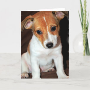 Carte de voeux Jack Russell Terrier Puppy Chien
