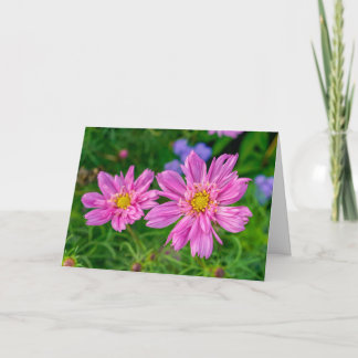 Carte de voeux - Jardin Marginal Way