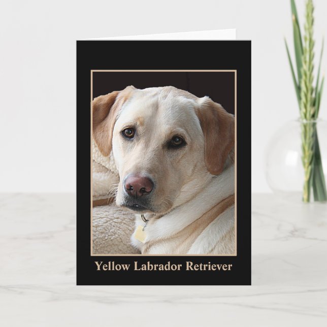 Carte de voeux jaune de labrador retriever (blanc) (Devant)