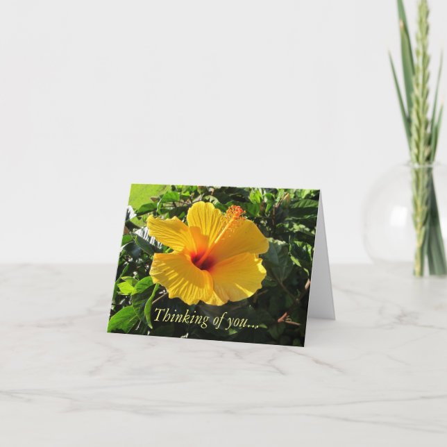 Carte de vœux Jaune Hibiscus Tropical Pensée pour  (Devant)