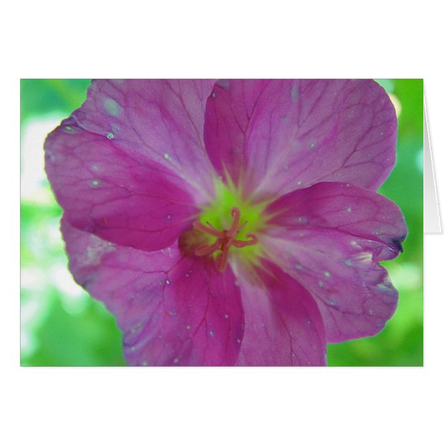 Carte de voeux jaune rose fleur de jeu, en blanc (Devant horizontal)