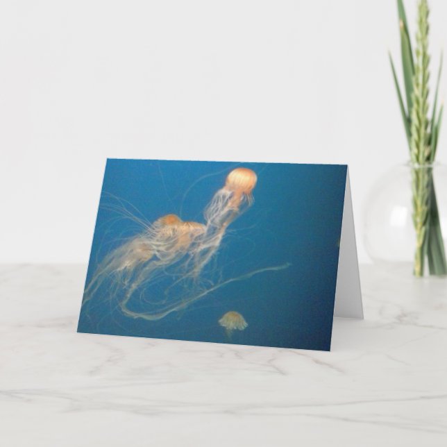 Carte de voeux JellyFish (Devant)