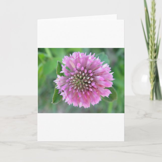 Carte de voeux joli fleur sauvage rose (Devant)