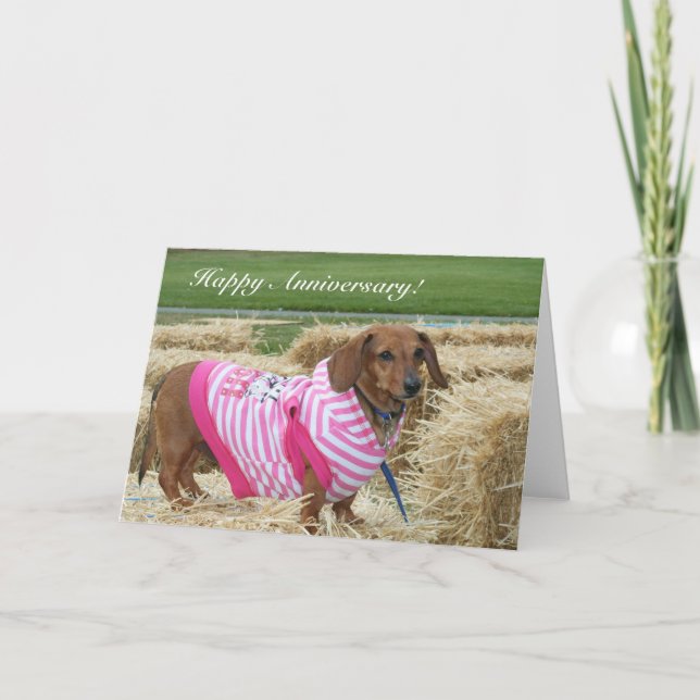 Carte de voeux Joyeux Anniversaire Dachshund (Devant)