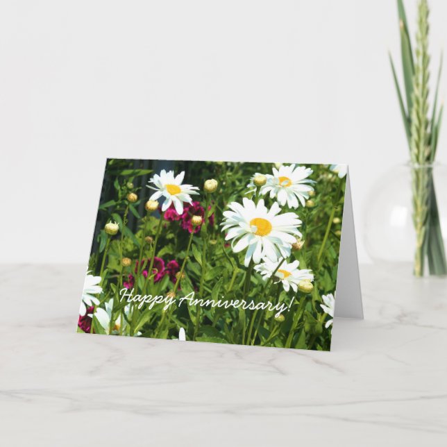 Carte de voeux Joyeux Anniversaire Shasta Daisy (Devant)