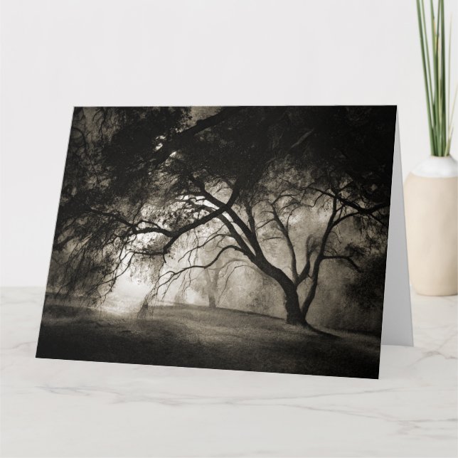 Carte de voeux Jumbo FOREST GRIMM (Devant)