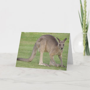 Carte de voeux Kangaroo