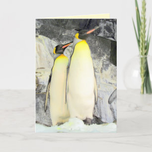Carte de voeux King Penguins