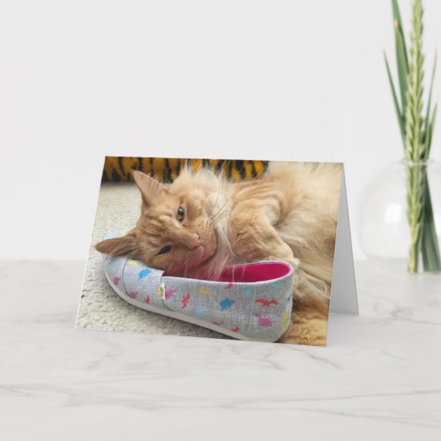 carte de voeux kitten #3 (Devant)