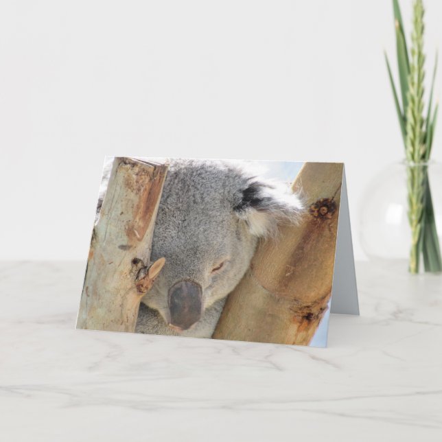 Carte de voeux Koala couché (Devant)
