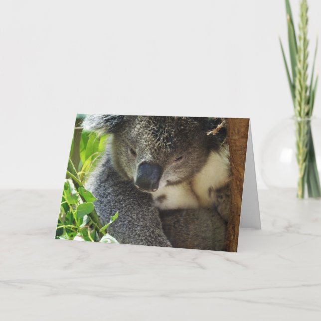 Carte de voeux Koala décontractée (Devant)