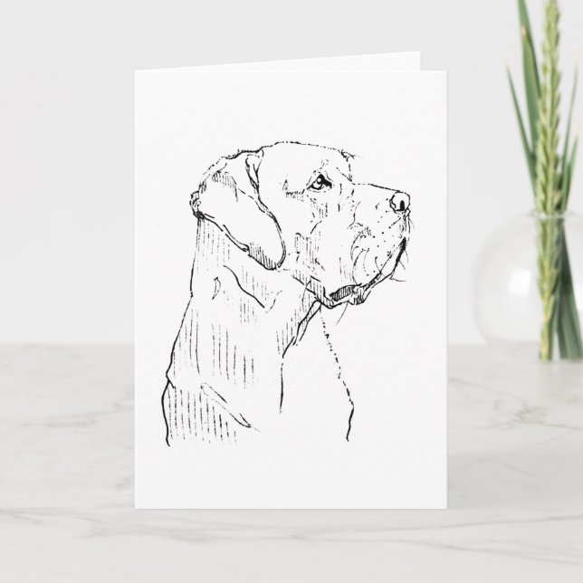 Carte de vœux Labrador Retriever calme (Devant)