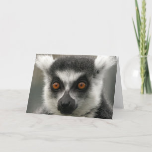Carte de voeux Lemur Face