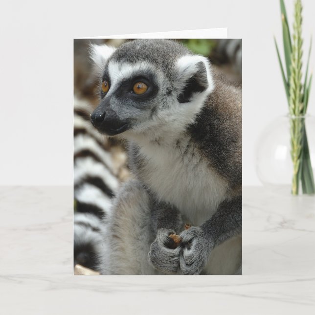 Carte de voeux Lemur Monkey (Devant)