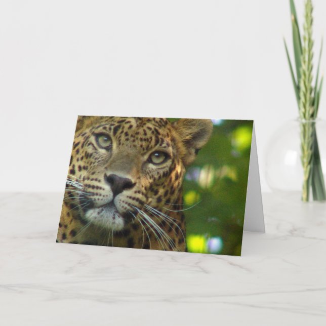 Carte de voeux Leopard (Devant)