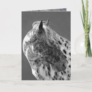 Carte de voeux Leopard Appaloosa Horse
