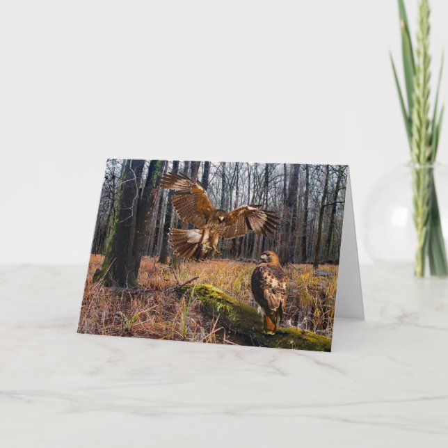 Carte de voeux "Les Hawks à queue rousse" (Devant)