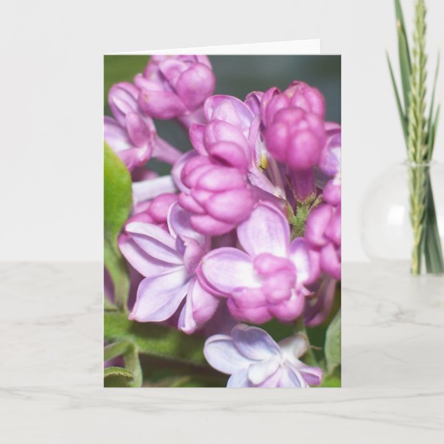 Carte de voeux Lilac (Devant)
