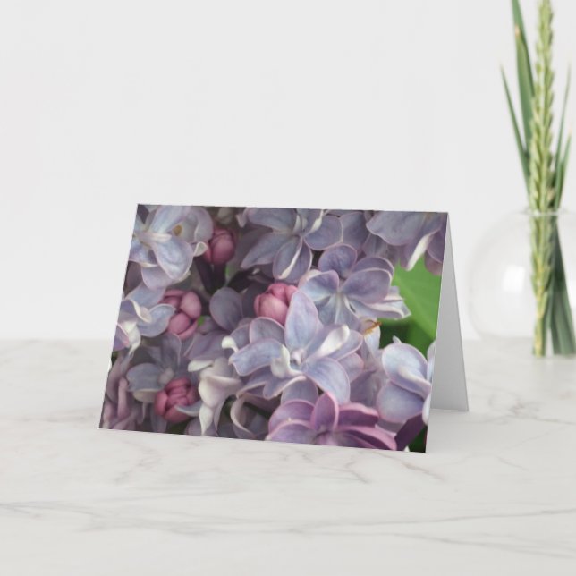 Carte de vœux Lilas adorable (Devant)
