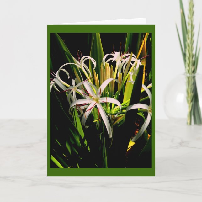 Carte de voeux Lilies (Devant)