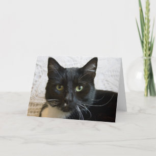 Carte de voeux : Lilly