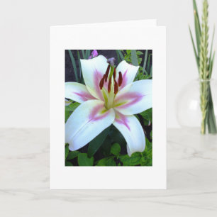 Carte de voeux Lily royale blanche Ajouter votre p
