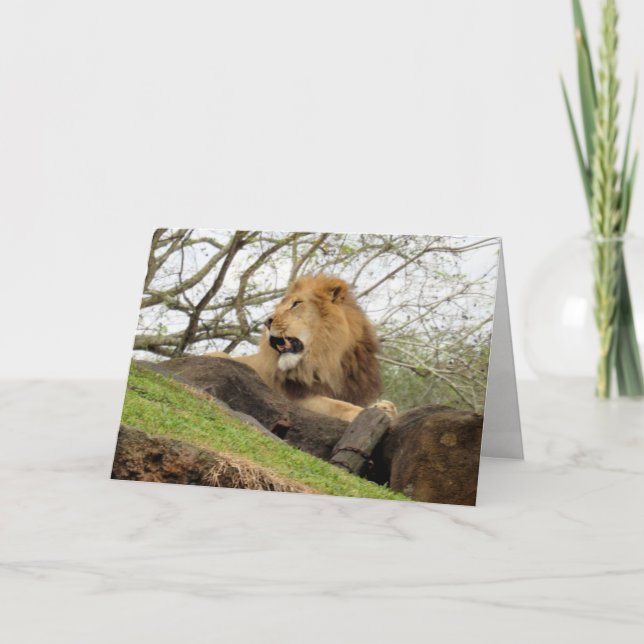Carte de voeux Lion (0356) (Devant)