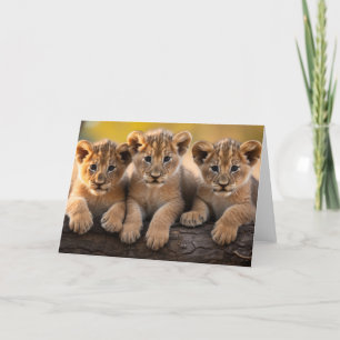Carte de voeux Lion Cubs
